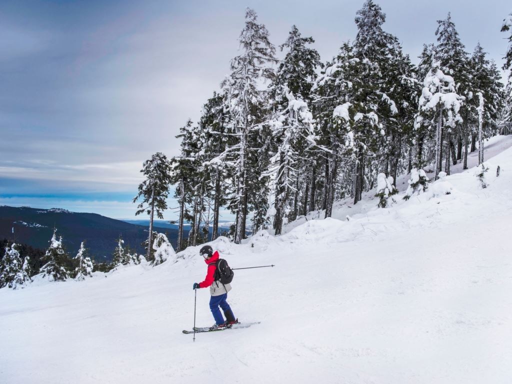 Winter sports holiday in Germany with Landal Ski Life